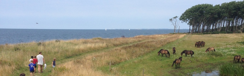Sommerferie på Langeland