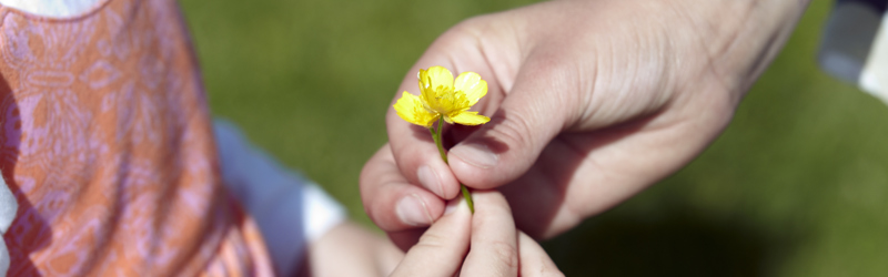 Voksen og barn holder om en plukket blomst